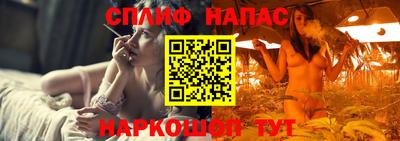 дмт Канаш