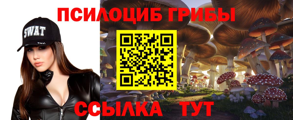 Куйбышев  Псилоцибиновые грибы мицелий  Галлюциногенные грибы ЛСД  Вход с VPN 